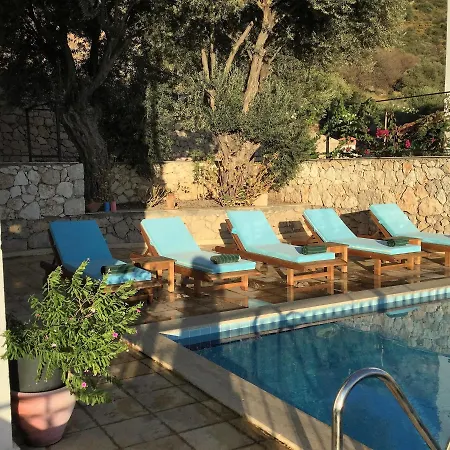 Paradise Villaları 5*